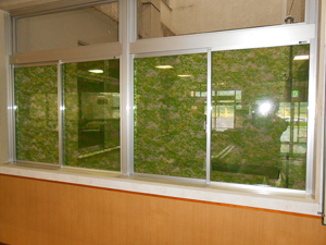 木製建具